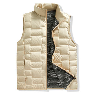 Manufacturer Customized Autumn and Winter New Graphene New National Standard 80 White Duck down Pure Color Cross-Border Stand-Up Collar down Vest for Men