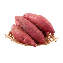 新鮮紅薯河南開封沙地紅薯2斤5斤產地直達