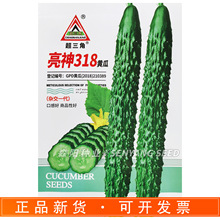 ����������318�S�ϷN���Ѷ̰��ܴ̾G����Ϻ���A16�ļ��߲˴��S��