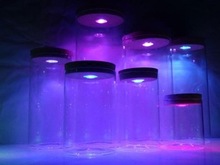 带LED灯软木塞微景观展示瓶许愿夜光透明玻璃储物罐直筒球尘罩