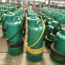 ɽ�|���aBQS�V�ø����͝�ˮ��ɳ늱� �������۱�BQS60-80-30/NKW