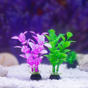 9CM���Ϸ���ˮ�ݏS��ֱ�N���l�~��ɳ�P�b�ֲ��ٻ�ˮ�����쾰