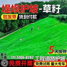 �o�¹��������ͺ��ͺ��ļ�����N��߅�¾G���Vɽ�;G����é�ݷN��