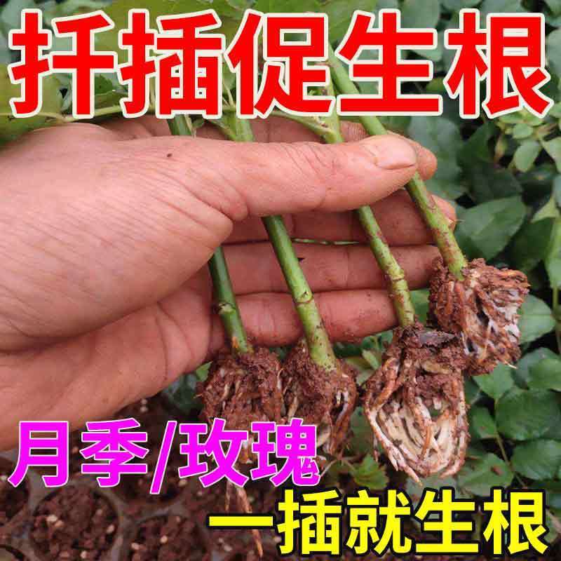 0a3a64a2-d99d-43cb-b653-3ec0d843c4ab.jpe