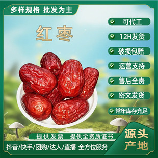 �F؛���l�½����½��t��Ƥ���◗�����E�������l�� ������ƴ�