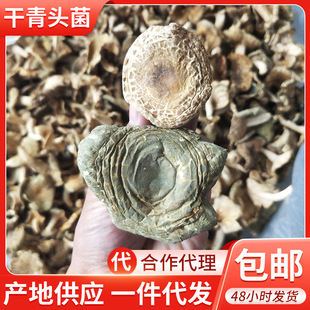 ���Ұ�����^����؛ Ұ���G�^���湽ľĢ��Ұ���������r���^