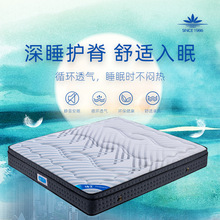 ˯ɏ�����o���M����Ȼ���z���|�������b����1.5m 1.8�׳��˴��|