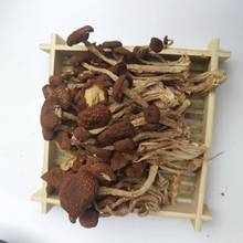 茶树菇广昌不开伞农家特产干新货批发香菌菇炒炖汤天然特级