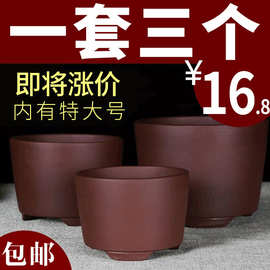 宜兴紫砂圆柱盆景君子兰小吊兰花盆绿萝多肉简约陶瓷盆