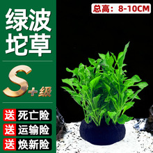 �G��С����~��ˮ��ֲ����Ե�ˮ���֑���ˮ���쾰ˮ��Gֲ��ˮ��