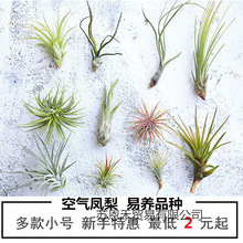 �՚��P��o��ֲ���҃ȿ͏d����Gֲ���Ի��ܲݻ�����횼t���`���