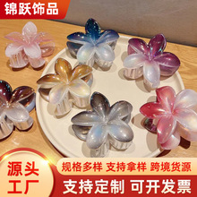 跨境新款8cm糖果色渐变鸡蛋花抓夹紫荆花发夹后脑盘女大号发夹子