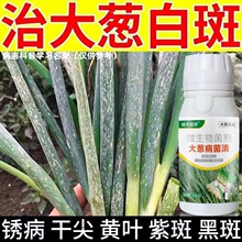 大葱病菌清大葱病害防治大葱小葱黄叶干尖锈病白斑农用微生物菌剂