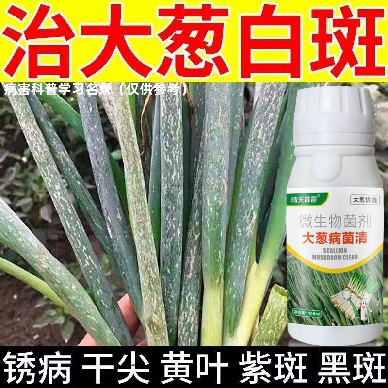 大葱病菌清大葱病害防治大葱小葱黄叶干尖锈病白斑农用微生物菌剂