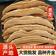 `֥ `֥`֥Ұ`֥`֥ș`֥ ]ĥă