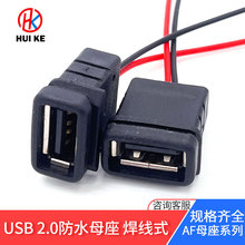 USB AF2.0ĸ�� ֱ��ʽAĸ2о��������ʽ ע�ܳ��ͷ�ˮĸ��С���