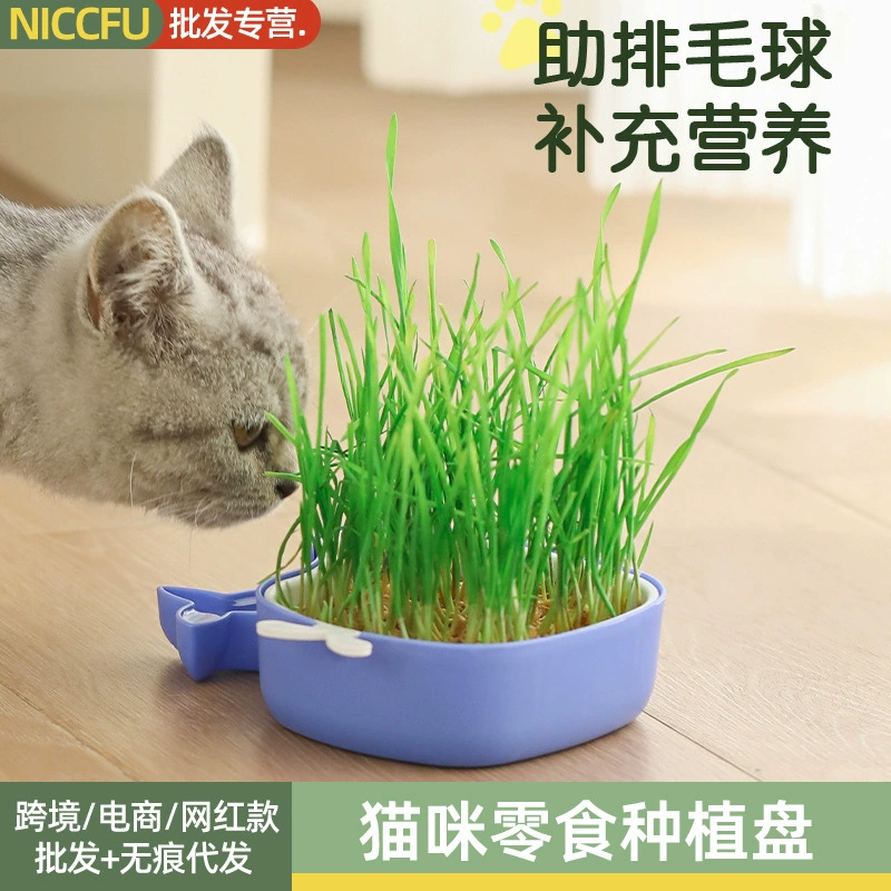 Лоток для кошачьих кормов, лоток для посадки семян пшеницы, лоток для рассады, лоток для самостоятельного посева, лоток для удаления шерсти кошек и травы.