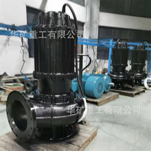 ֱ��ʽ�͸���ˮ늱� ���P��͸���ˮ늱� WQF50-10-3�͸���ˮ늱�