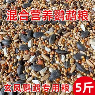 ��Ƥĵ�����P�W�^��ɫ���� ���� �W�^ �Bʳ��� �S���Ӵ��l���S