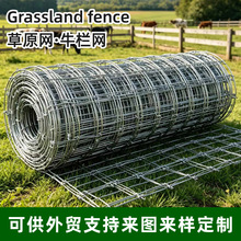 牧场牛栏网养殖拦牛羊防护网果园围墙栏网热镀锌铁丝牛栏网跨境