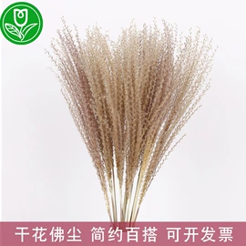 鲜花花艺制品;干花
