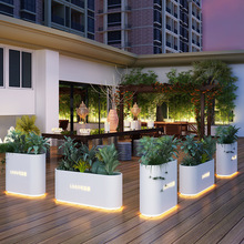 ���ⲻ�P䓺��s����ͥԺ̫��ܰl�⻨��ֵ��������ڸ��໨����[