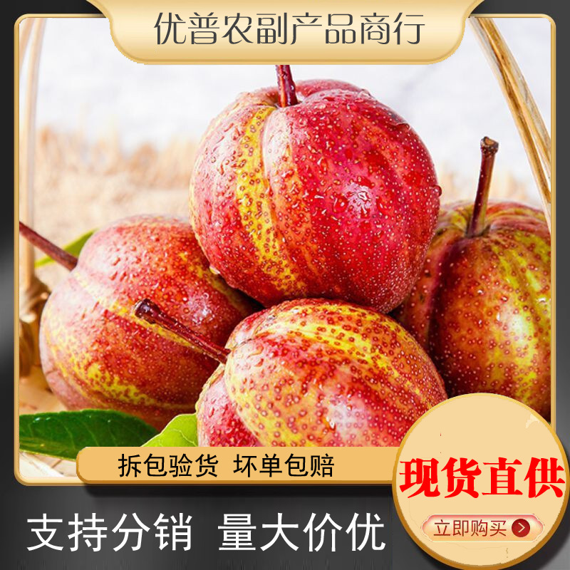 正宗陕西彩虹梨9斤整箱当季新鲜水果薄皮梨子10批发包邮5斤红皮梨