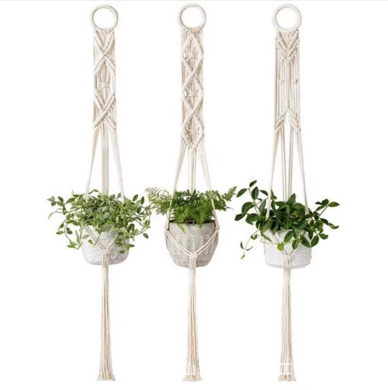 微信图片_20220306081751