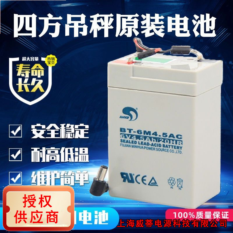 Original Battery Charger for Hanging Scale Sifang Ruili Baiying Seth 6V4.5Ah7.0V/1.0A Power Cord Battery