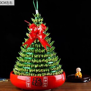 �ɻ����Ĳ����^�����F�D�\��ˮ��ֲ�ﻨ�ܾGֲ�k���҃�����С����