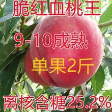 �tѪ�����Ҙ�ˮ������Ʒ�N��tѪ�Ҙ��� �ش��ϱ����Nֲ�x�˝���