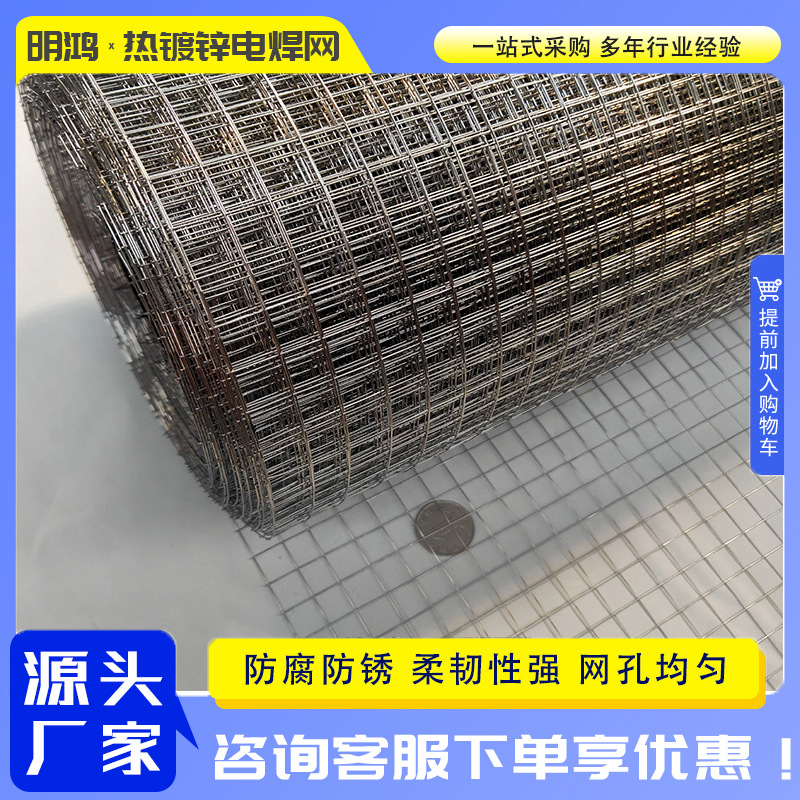 镀锌电焊网养殖圈地防护铁丝网围网厂家生产建筑工地保温抹墙网