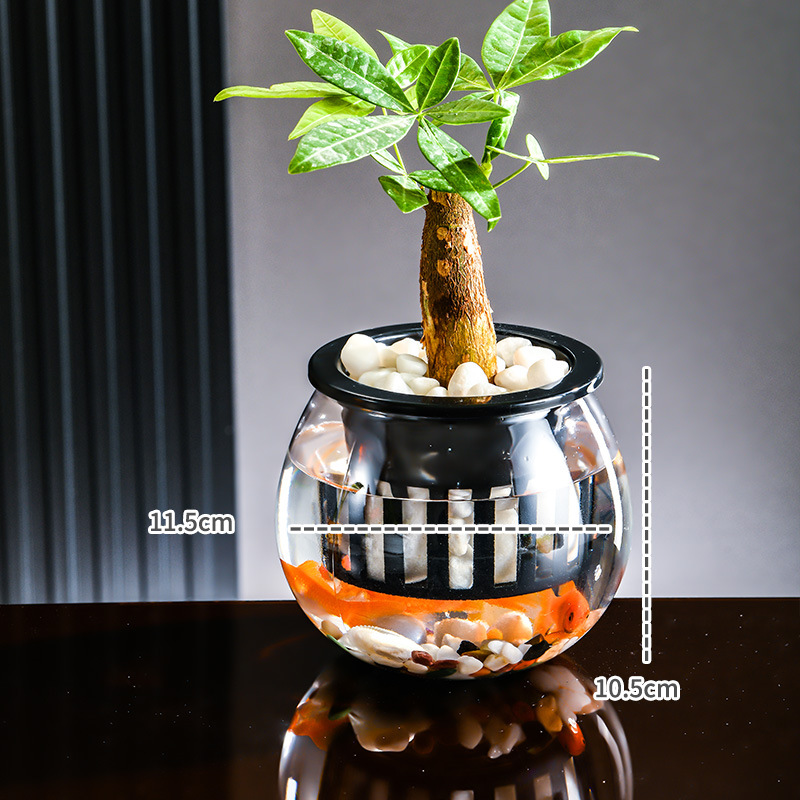 热款简约现代水培植物塑料鱼缸水养绿萝绿植插花客厅桌面装饰摆件