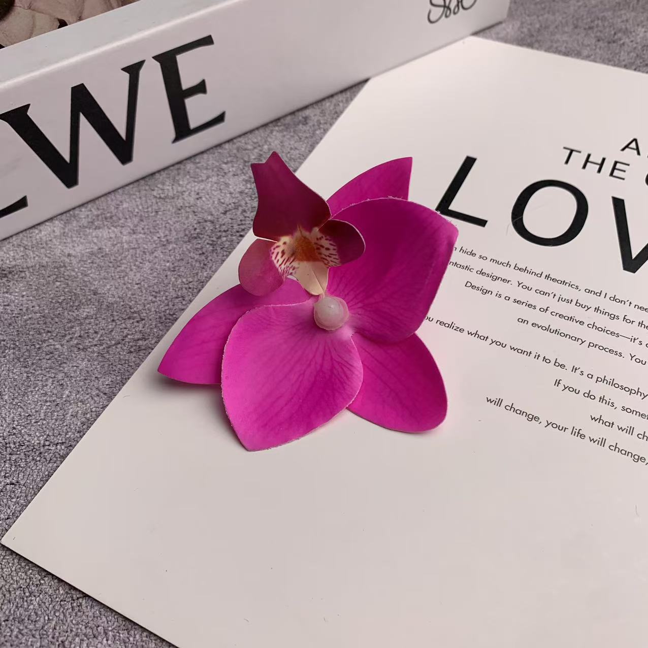 미니 호접란 꽃잎 파우더 4