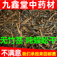 蜈蚣干国产红头吴公虫10克包邮无竹签无杂质百脚虫真货好