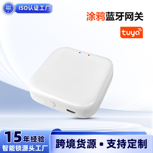 �T�f�{���W�P �F�����s�����T�i�W�h�����^��