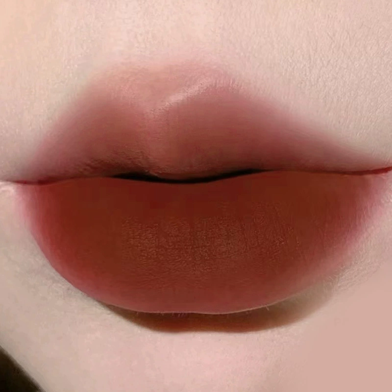 HERORANGE Matte lip gloss, lipstick, face blush, translucent shading
