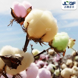 ���ތ����N����Ȼɫ���r���޻��N�Ѵ��ļ������׃��@��ͯ�޷N��