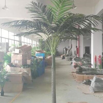 仿真槟榔树塑料椰子树室内大型葵树热带假绿植售楼处活动展览装饰