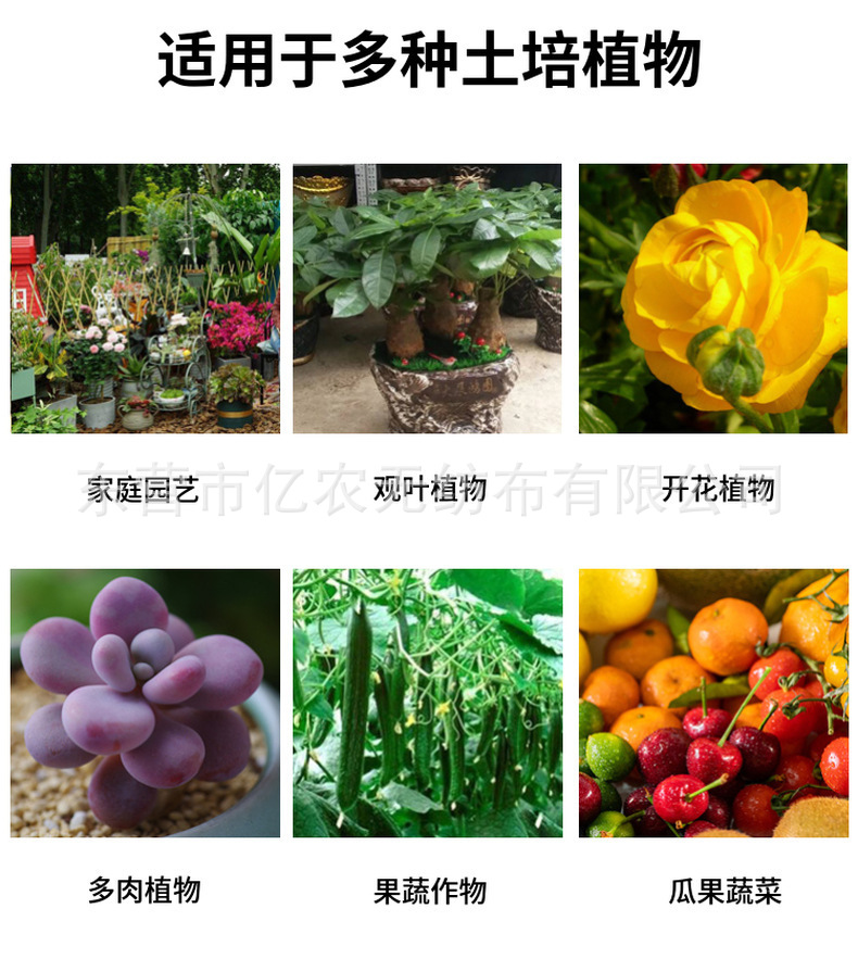 O1CN01bTaH7P1bWgWgU44JL_!!2924243473-0-cib.jpg?__r__=1725867155070