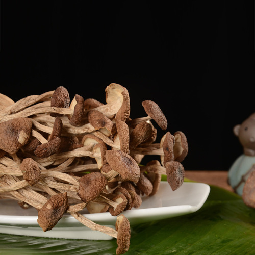 Unopened umbrella dried tea tree mushrooms in Gutian, Fujian. Self-use group purchase of tea tree mushrooms for delivery.