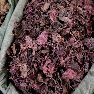 �t���1������ș���ϱ������ �ϱ���� �ϱ����