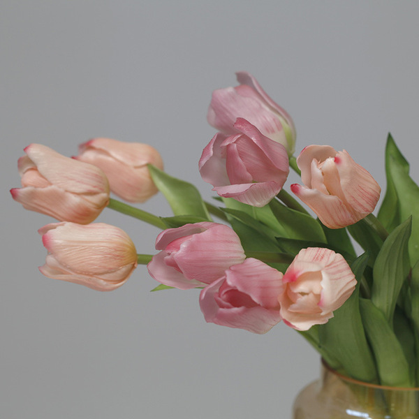 PE single-branch hand-touched tulips desktop ornaments photography…