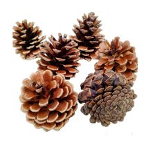 �ɹ������b�diy�����b��׃��@�h���������С�ɻ��ֹ� ����}�Q