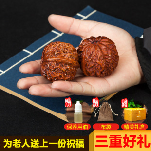 ��������������� ľ�������������� Ѩλ ��Ħ���� �L����