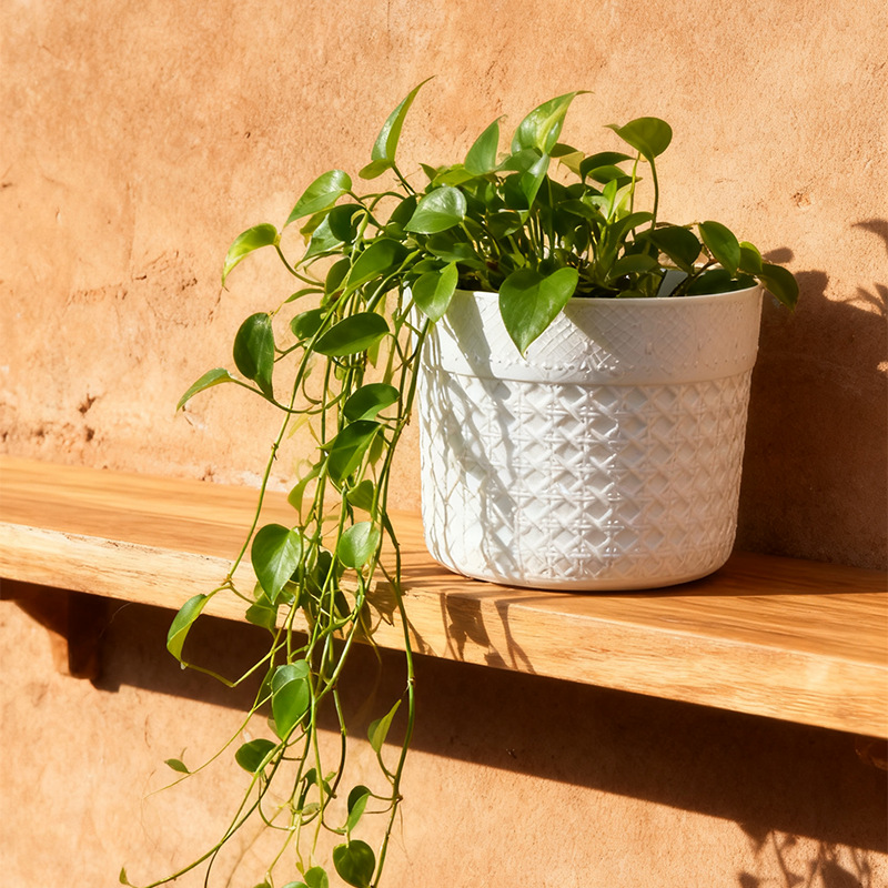 Pequeña maceta de plantas verdes delicada maceta de plantas domésticas no porosas maceta de plástico moderna mini maceta de escritorio