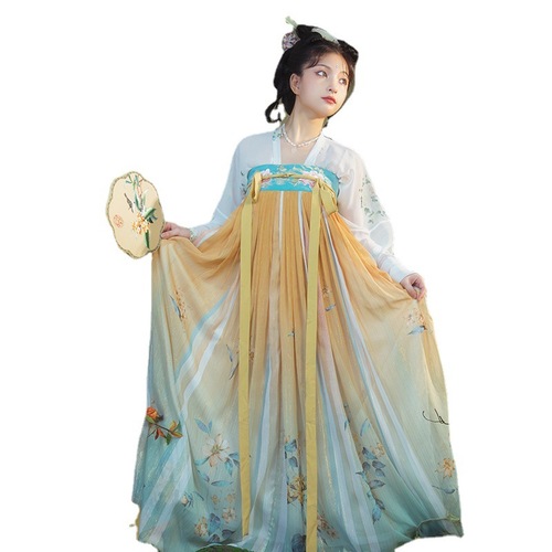 Women Chinese hanfu Han Tang Dynasty fairy princess dress for female photos shooting Kimono Dress for Girls