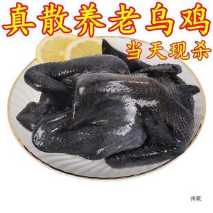 �l2ֻ�Ϟ��u���u �F�������u���u��ֻ��ĸ�u���u�r��ɢ�B���u����