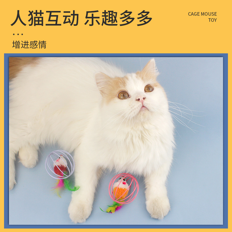 애완 동물 장난감 케이지 쥐 재미있는 고양이 자기 즐거움 대화 형 고양이 및 개 엔터테인먼트 공 장난감 긁힘 및 훈련을위한 물기에 강한