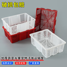 一次性活体宠物快递周转筐塑料筐水果筐镂空周转箱带盖龙眼框